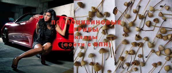 MDMA Беломорск