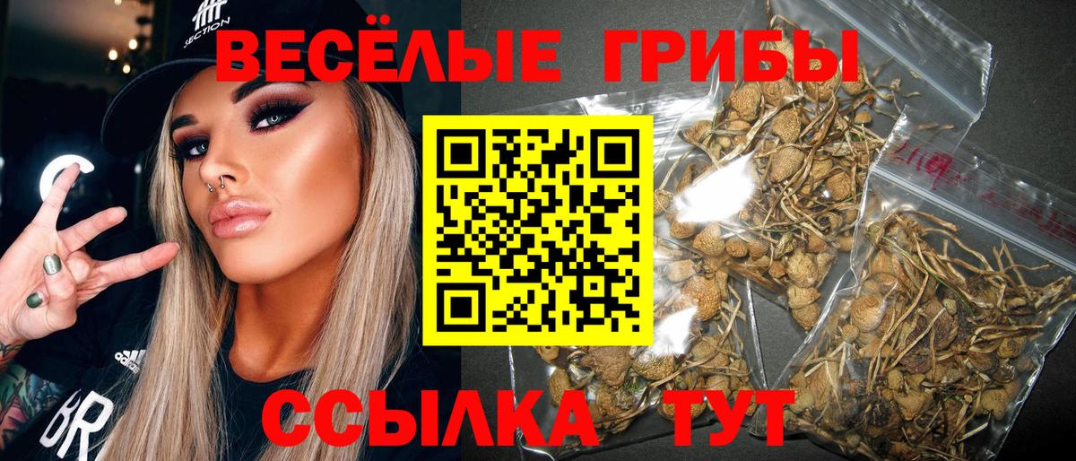 Саяногорск  Галлюциногенные грибы ЛСД  Вход с VPN  Псилоцибиновые грибы мухоморы 