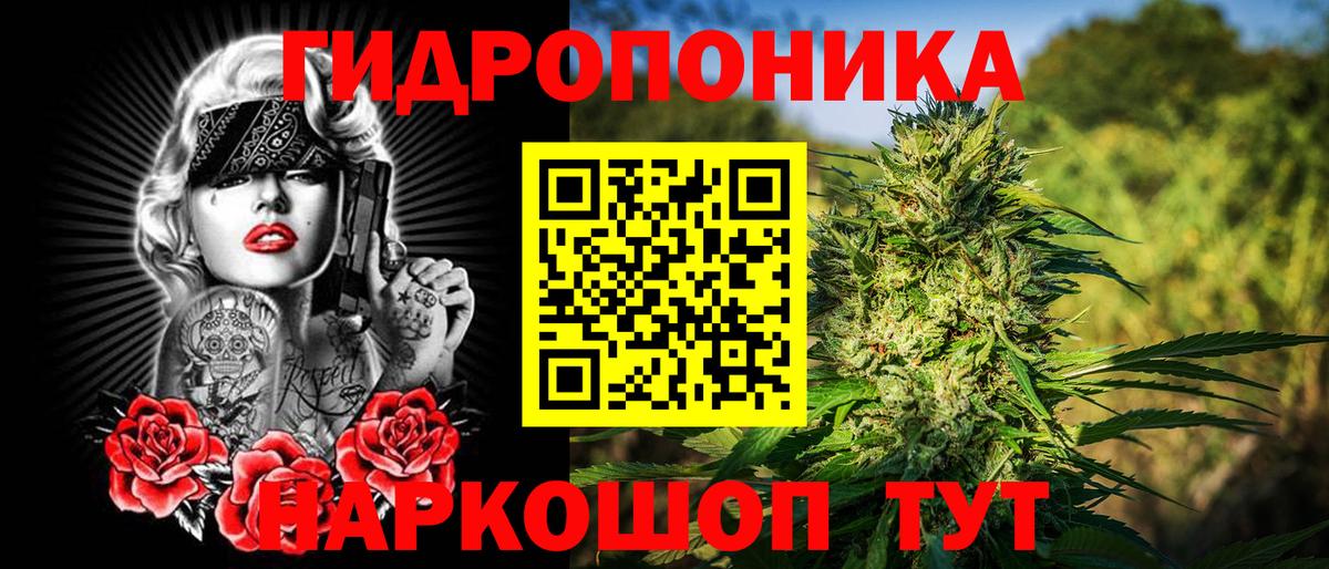 Конопля план  Марихуана семена  Саяногорск  Вход с VPN  Канабис Bruce Banner 